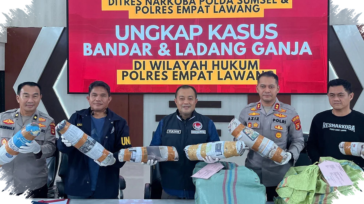 Polda Sumsel Bongkar Ladang Ganja 20 Hektar, Bandar Utama Ditangkap Saat Distribusi