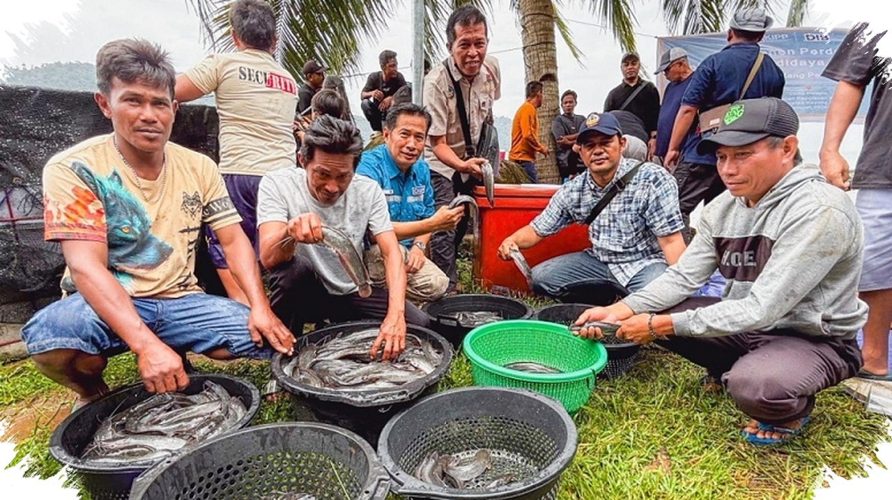 Panen Perdana Lele Desa Pelapis, Sinergi Warga Dan PT DIB Harita Menguatkan Ekonomi Pesisir