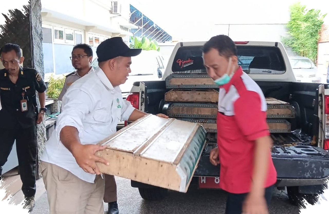Ratusan Burung Dari Tanjung Perak Dilepasliarkan, BKSDA Jatim Ungkap Alasan Tak Mau Menunda Lagi