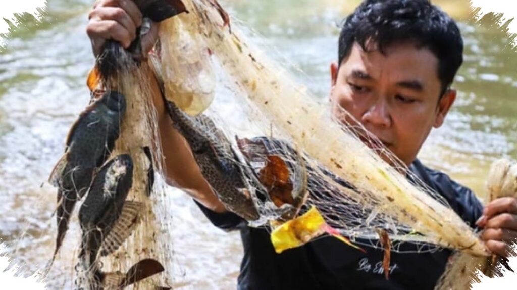 Ikan Sapu-Sapu Menguasai Sungai Jakarta, Ancaman Senyap yang Menggerus Ekosistem Kota