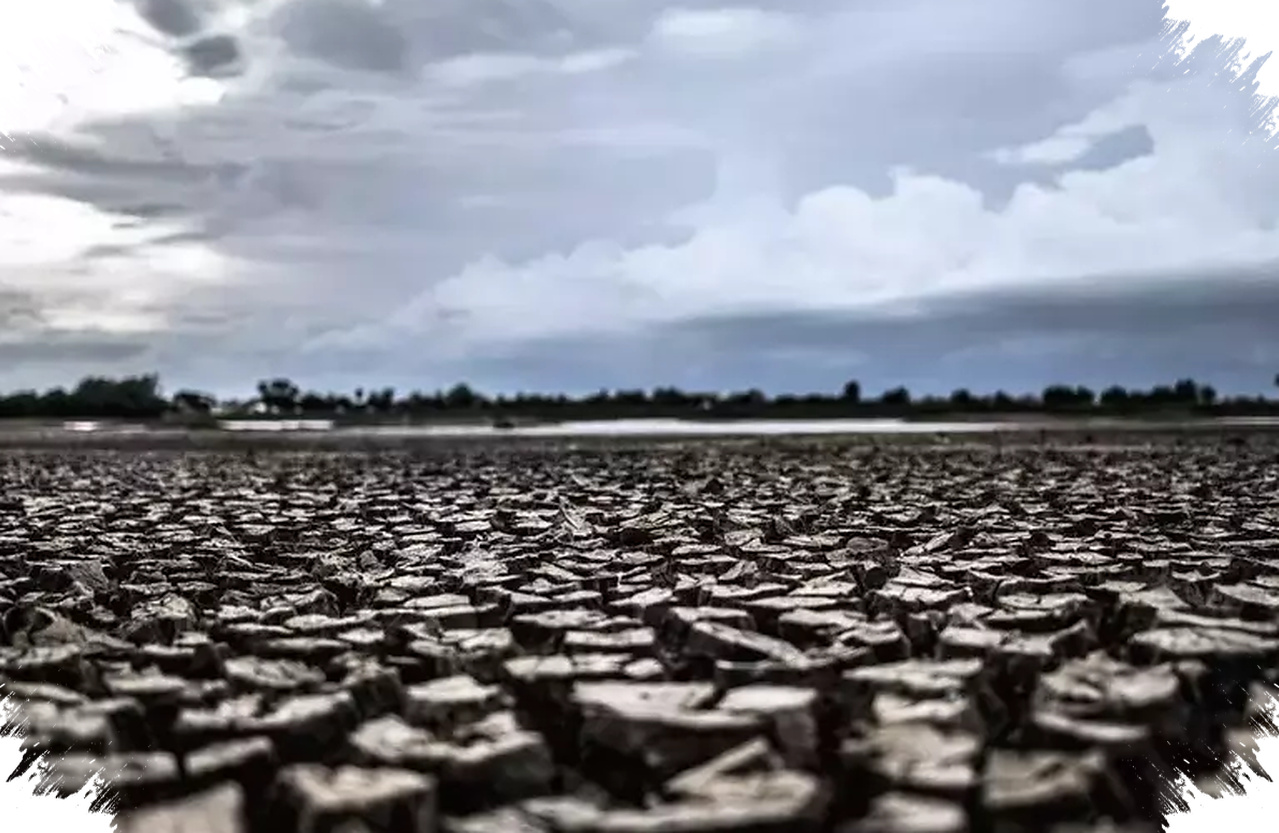 El Nino Godzilla Mengancam Kesehatan, DBD Hingga Penyakit Air Tercemar Mengintai