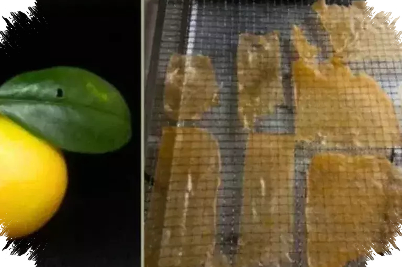 BRIN Sulap Jeruk Gamindo B Jadi Fruit Leather, Pintu Naik Kelas ke Pasar