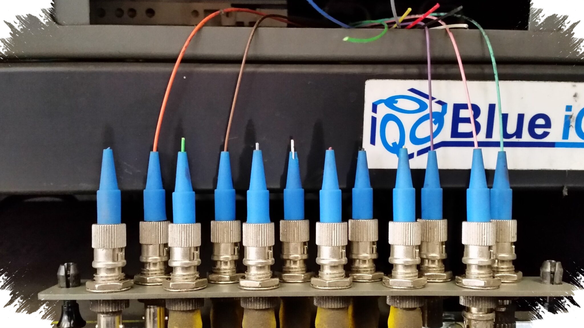 Tikus Menggerogoti Internet Optik, Krisis Infrastruktur yang Lebih Dalam Dari Dugaan