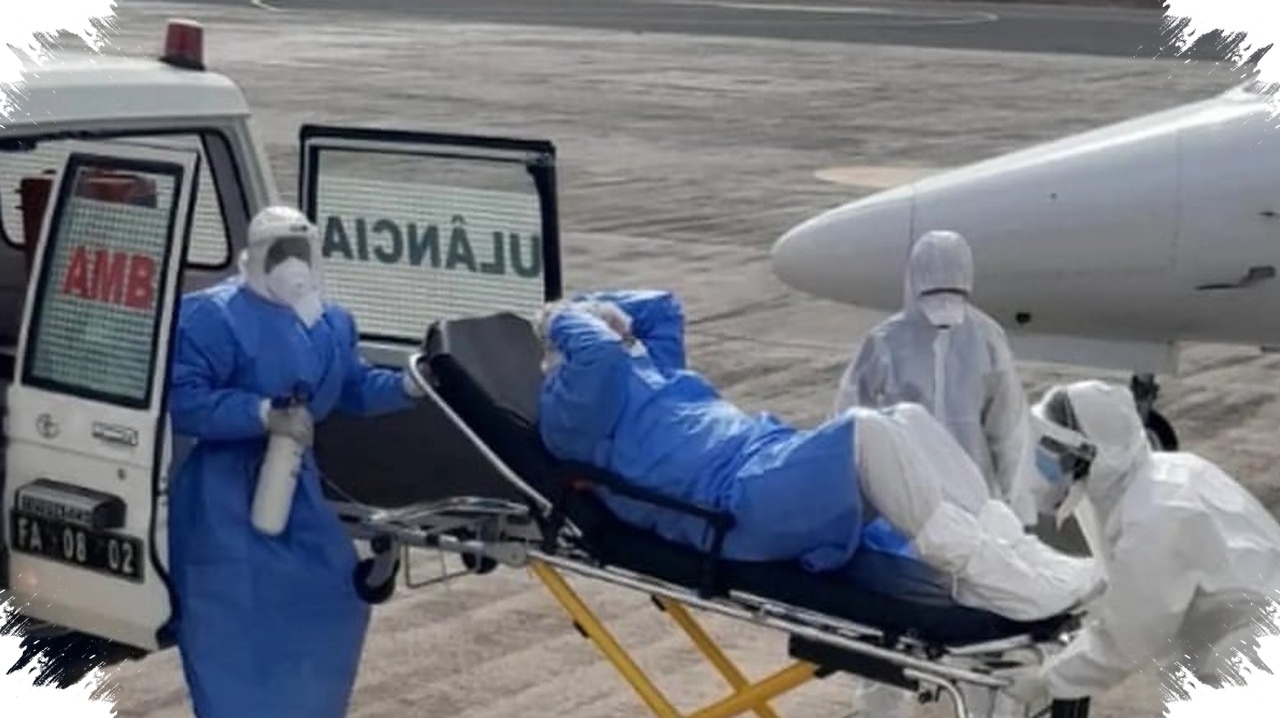 Tiga Penumpang Tewas Di Kapal Pesiar, Perubahan Iklim Kini Menggeser Risiko Hantavirus Ke Manusia