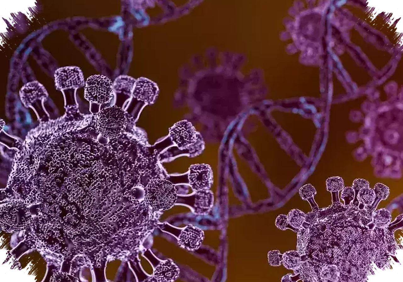 Gejala Hantavirus Mirip Flu, Saat Napas Runtuh Dan Ginjal Ikut Terancam