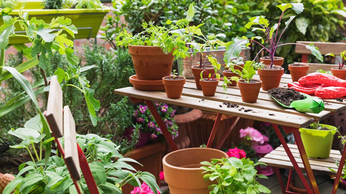 8 Model Dapur Berdampingan dengan Kebun Sayur Mini, Ruang Sempit Ternyata Bisa Produktif