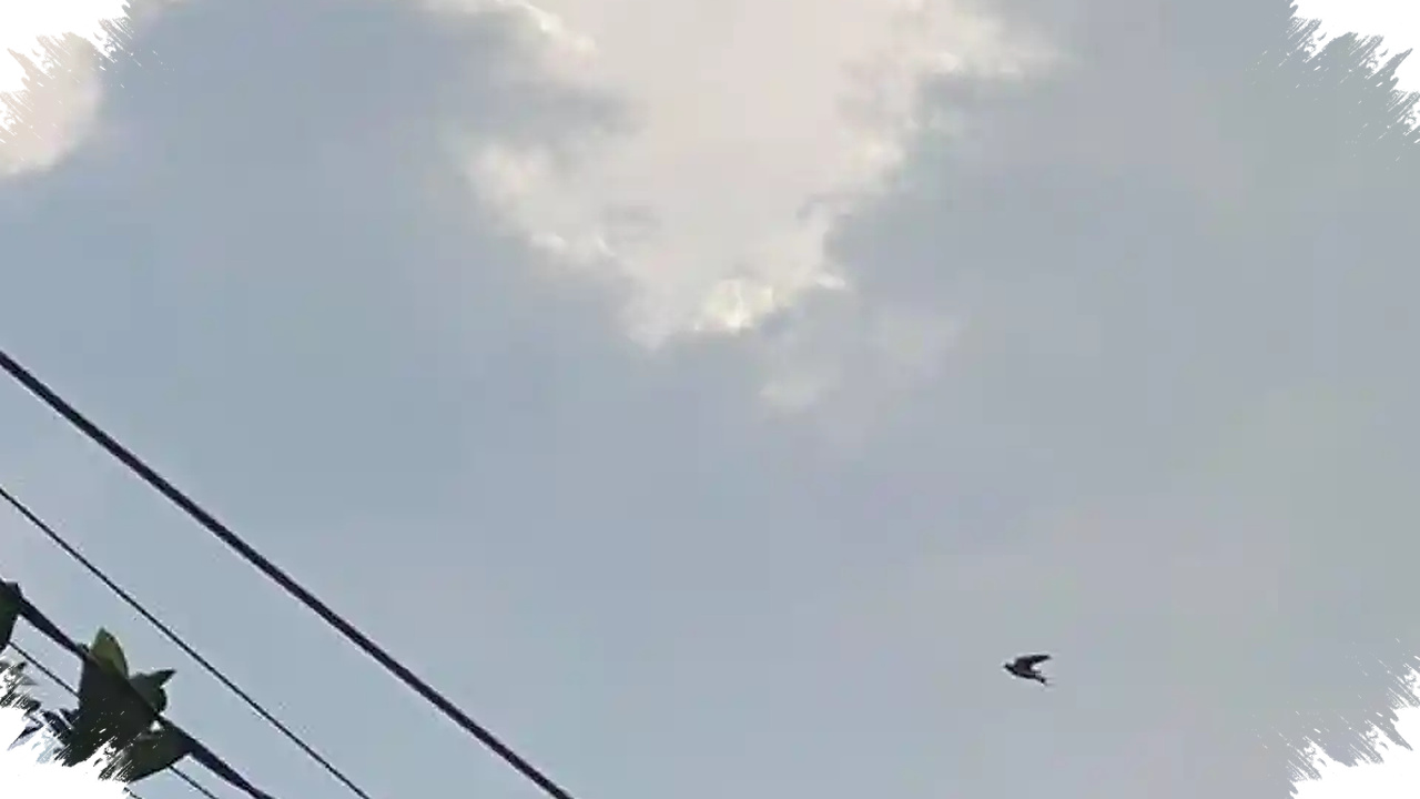 Jatim Didominasi Cerah Kamis Ini, Empat Daerah Tetap Berpeluang Hujan Ringan