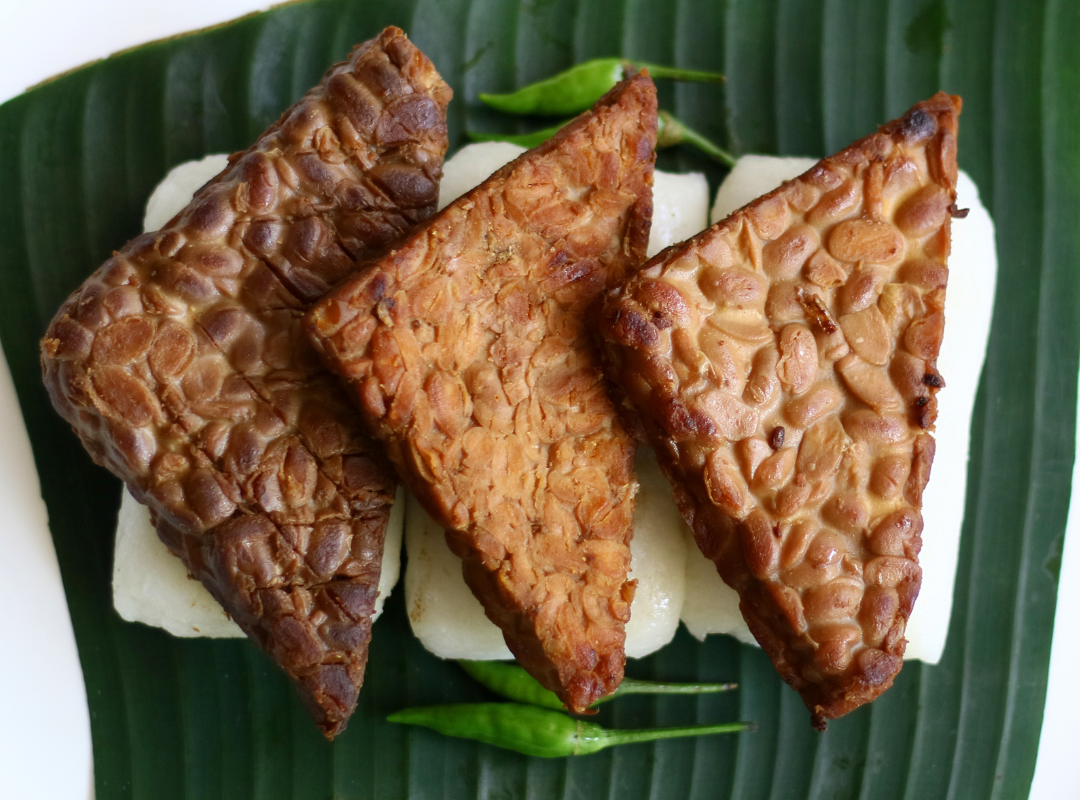 Jadah Tempe Naik Kelas, Dari Jajanan Kuno Jadi Oleh-Oleh Jogja yang Lebih Modern