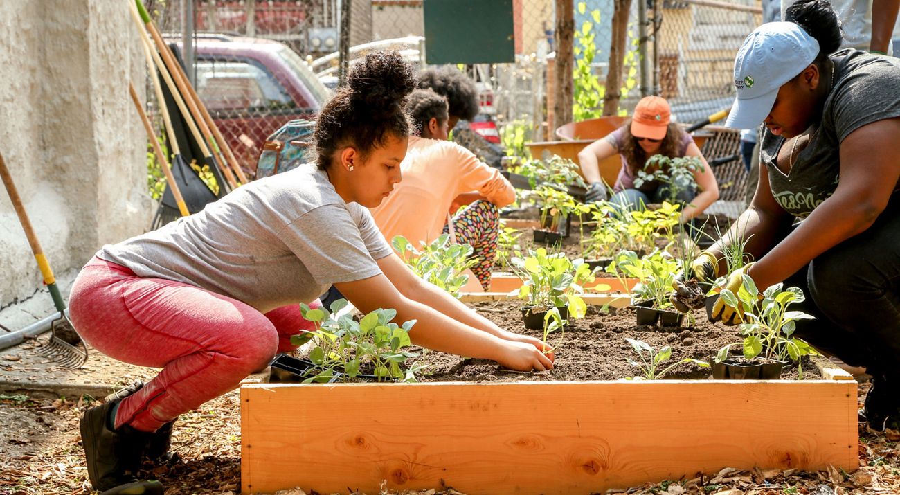 8 Konsep Kebun Sayur Bersama, Lahan Produktif Yang Disulap Jadi Wisata Edukatif Menenangkan