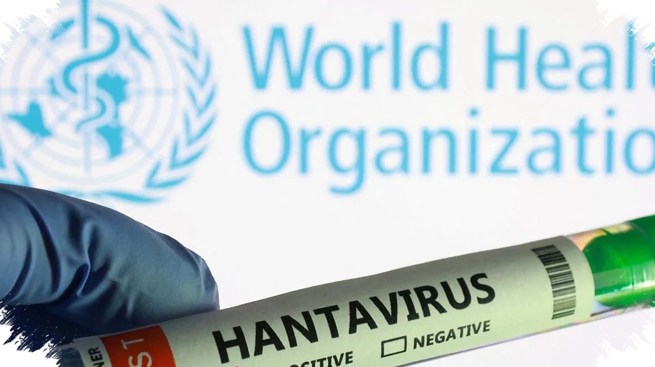 Kemenkes Pastikan Suspek Hantavirus Di Kulon Progo Negatif, Tak Ada Kasus Positif