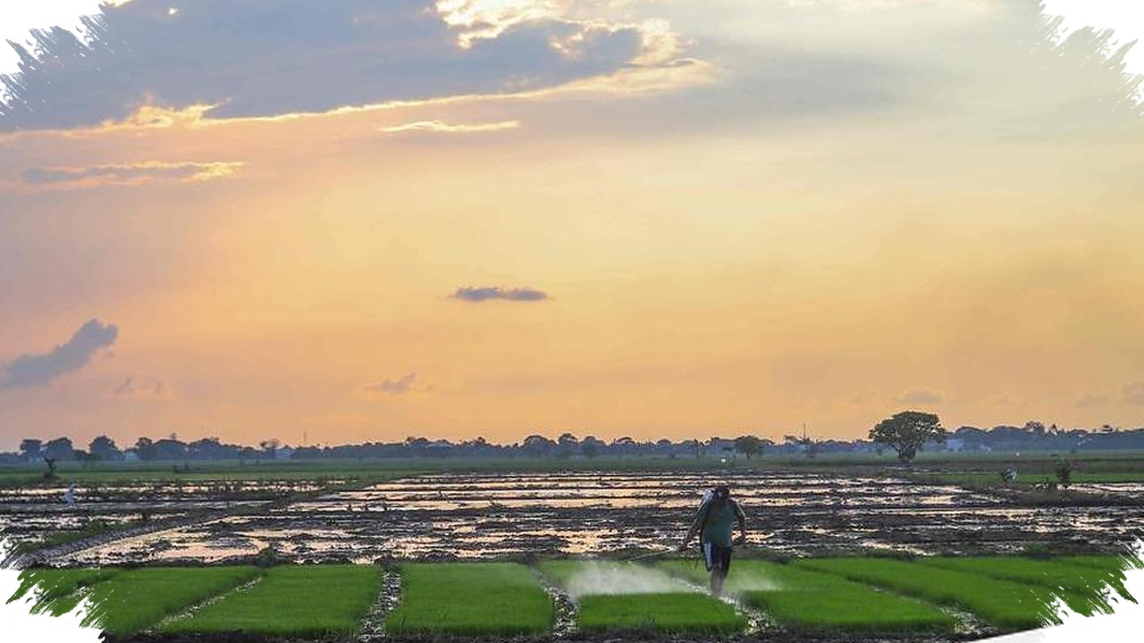 43 ZOM Jatim Masuk Kemarau Lebih Awal, Surabaya Siap Hadapi Panas yang Makin Menyengat