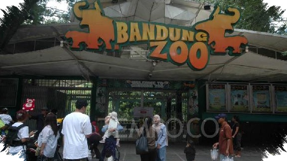 Dedi Mulyadi Siapkan Opsi BUMD Ambil Alih Bandung Zoo, Lelang Pengelola Masih Buntu