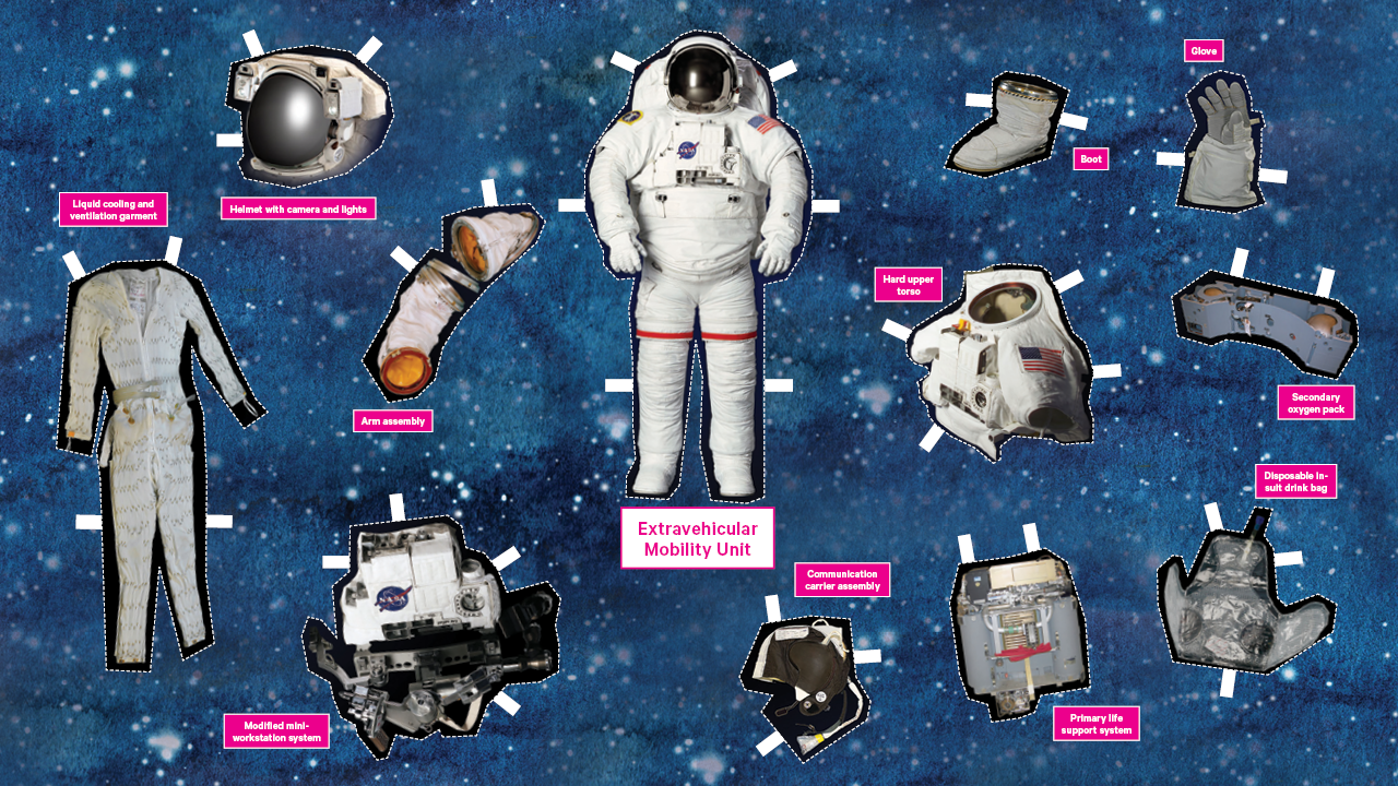 5 Profesi yang Diam-Diam Bisa Membawamu Jadi Astronaut, Nomor 5 Paling Relevan Hari Ini