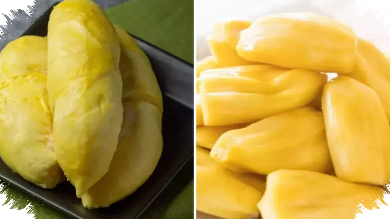 Durian Lebih Padat Energi, Nangka Lebih Ringan, Mana yang Sebenarnya Lebih Sehat?