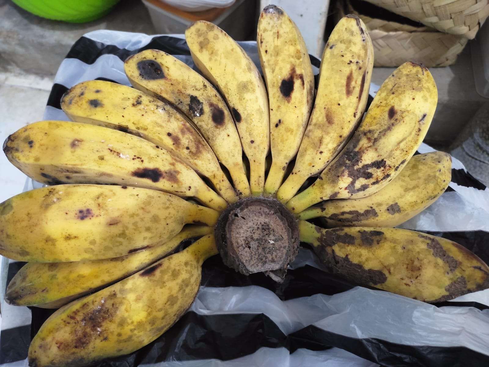 Jangan Salah Pilih Pisang Gorengan, Kepok Tetap Paling Aman untuk Untung