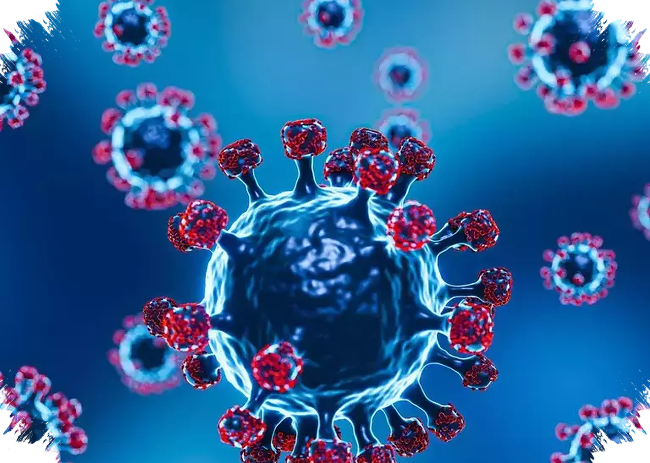 PCR Negatif, WNA Kontak Erat Hantavirus Tetap Diisolasi Ketat di RSPI Sulianti Saroso