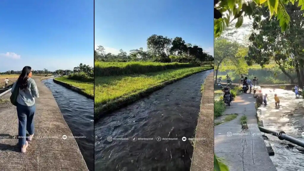 Kali Talang Di Boyolali, Sungai Bening Di Tengah Sawah Untuk Nyore Yang Tenang