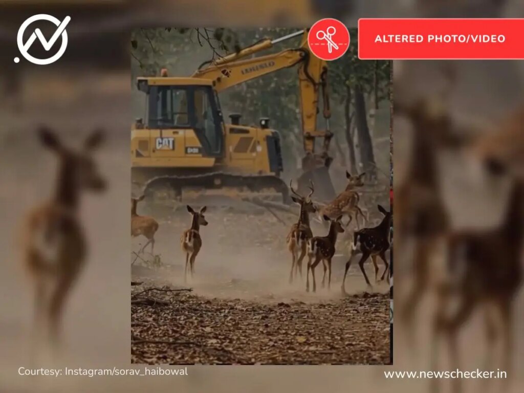 Video Buram Hutan Kini Jadi Harta Karun Riset Primata Berkat AI PriMAT