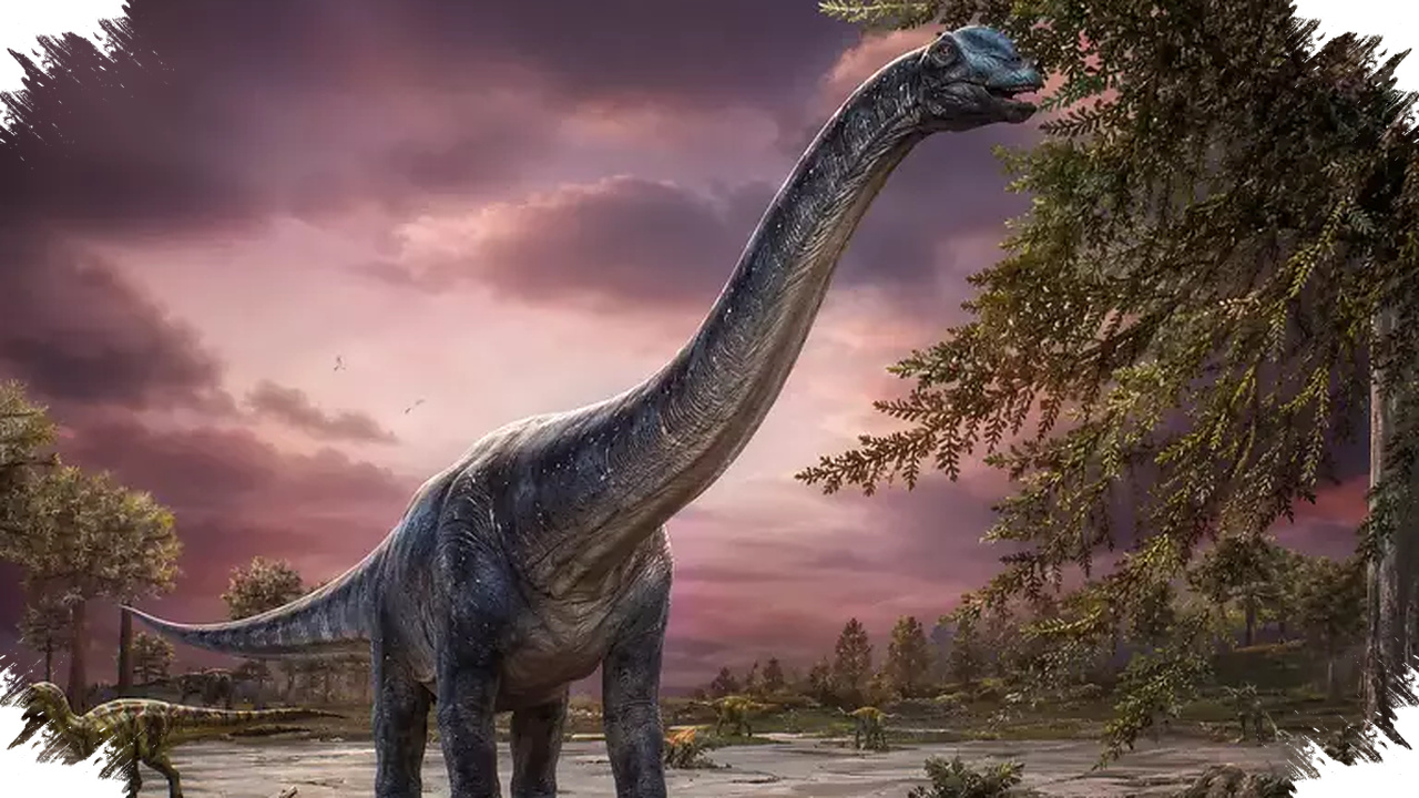 Jejak Dinosaurus Terbesar Asia Tenggara Muncul Di Tepi Kolam Warga Thailand