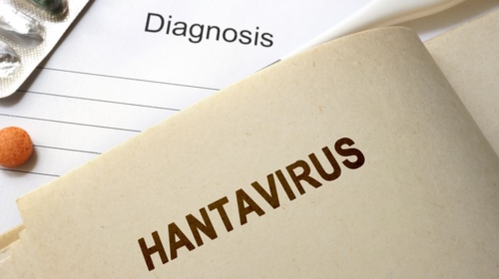 Hantavirus Bukan Virus Baru, Jejak Lama Yang Kini Kembali Mengintai Indonesia