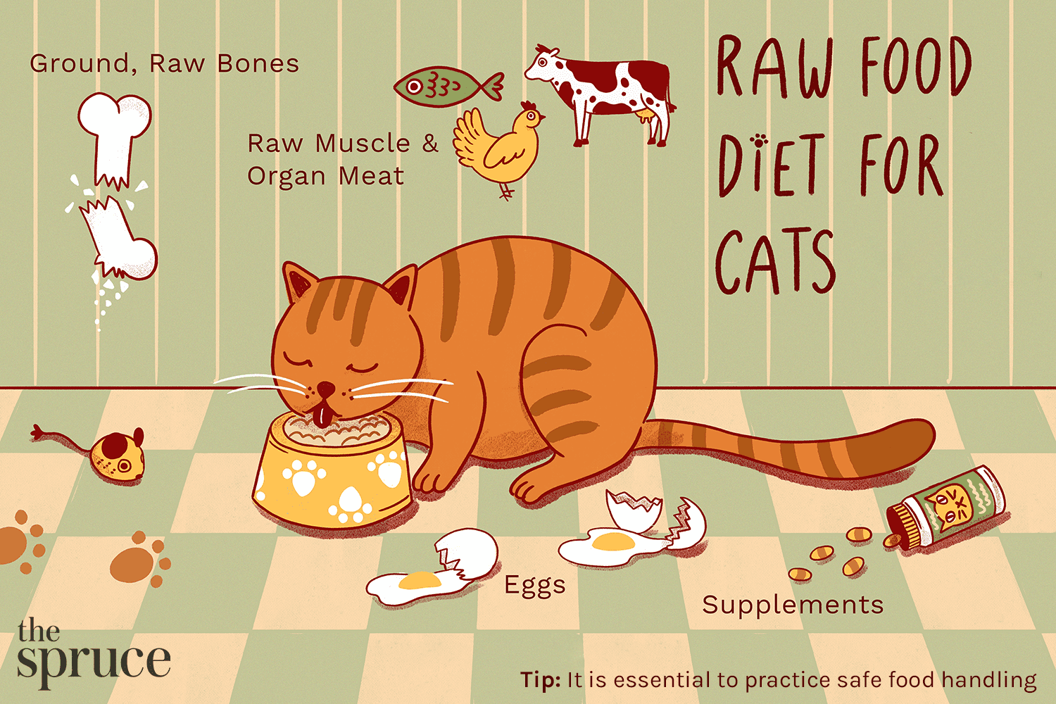 Makanan Mentah Untuk Kucing Terlihat Alami, Tapi Risiko Bagi Kucing Dan Manusia Tak Kecil
