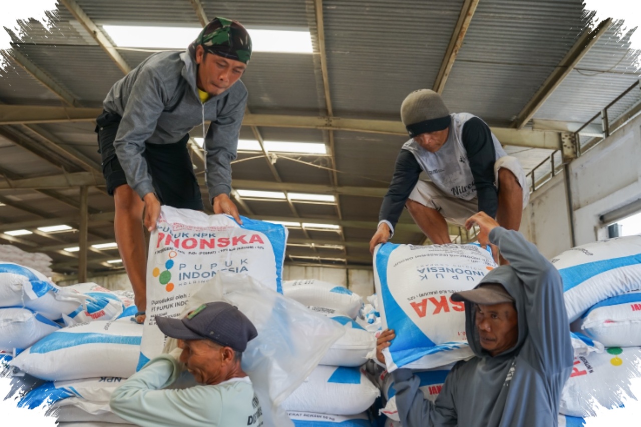 Serapan Pupuk Subsidi Jabar Melonjak, Pupuk Indonesia Pastikan Stok Aman di Puncak Tanam