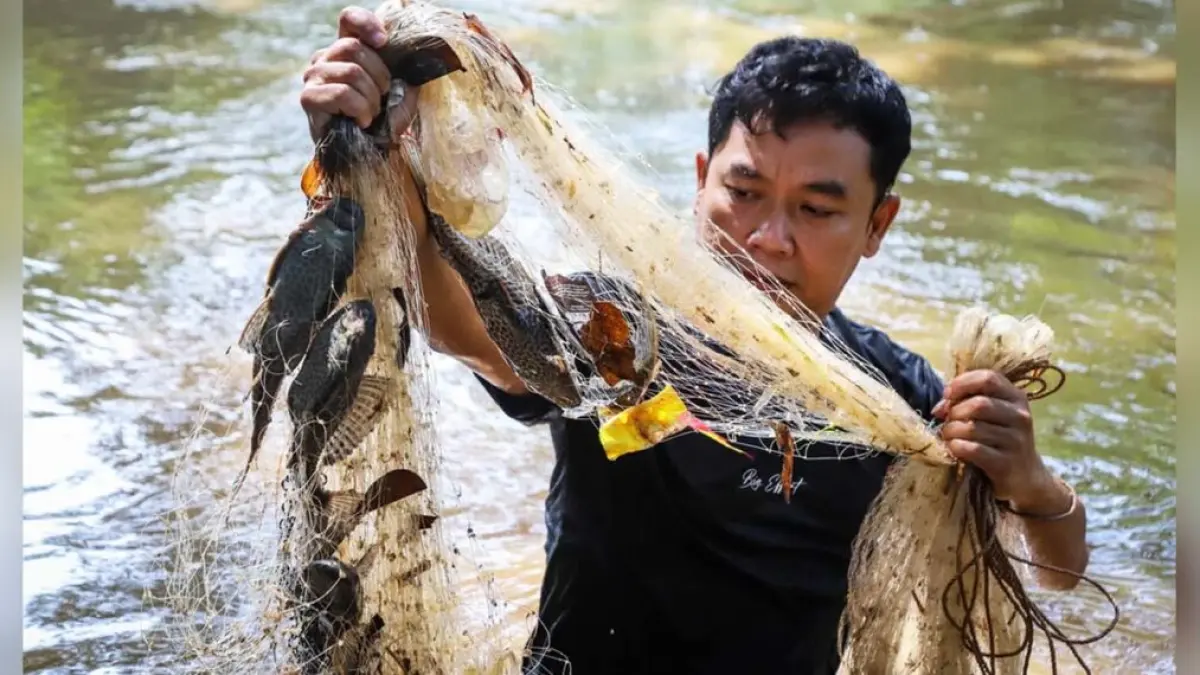 Ikan Sapu-Sapu Bukan Asli Indonesia, Ancaman Sunyi Yang Pelan-Pelan Menguasai Perairan