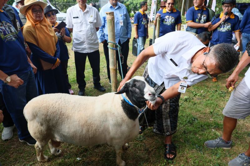 Pemprov Jateng Perketat Jalur Ternak Jelang Idul Adha, Hewan Kurban Dipastikan Sehat