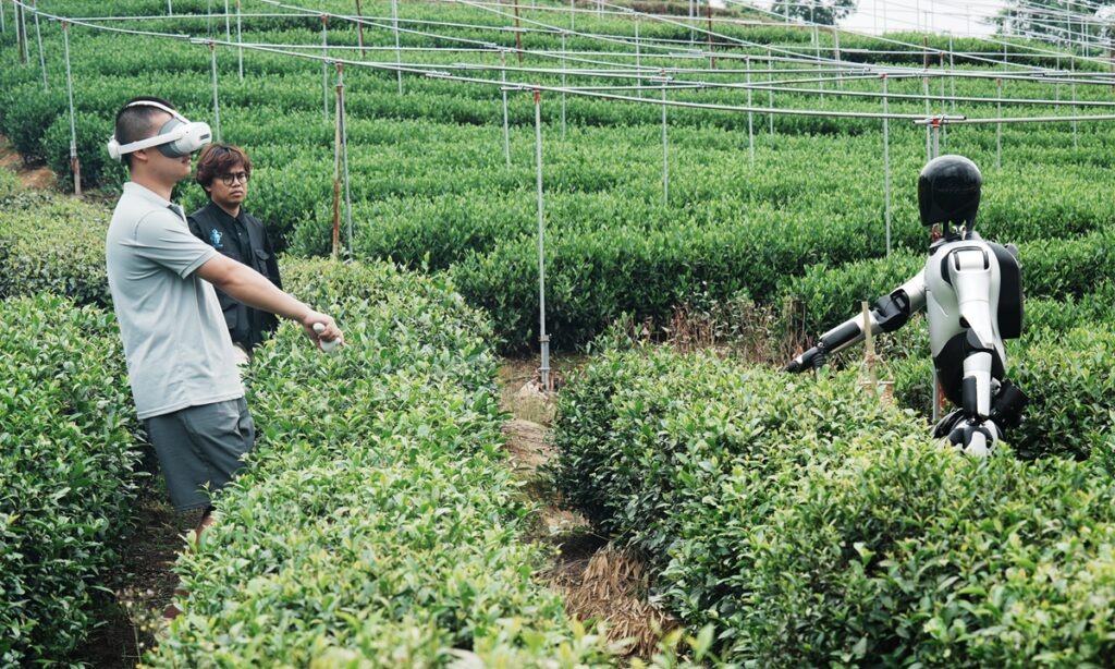 Robot Humanoid China Turun Ke Kebun Teh, Ujian Kasar Yang Bisa Ubah Arah AI