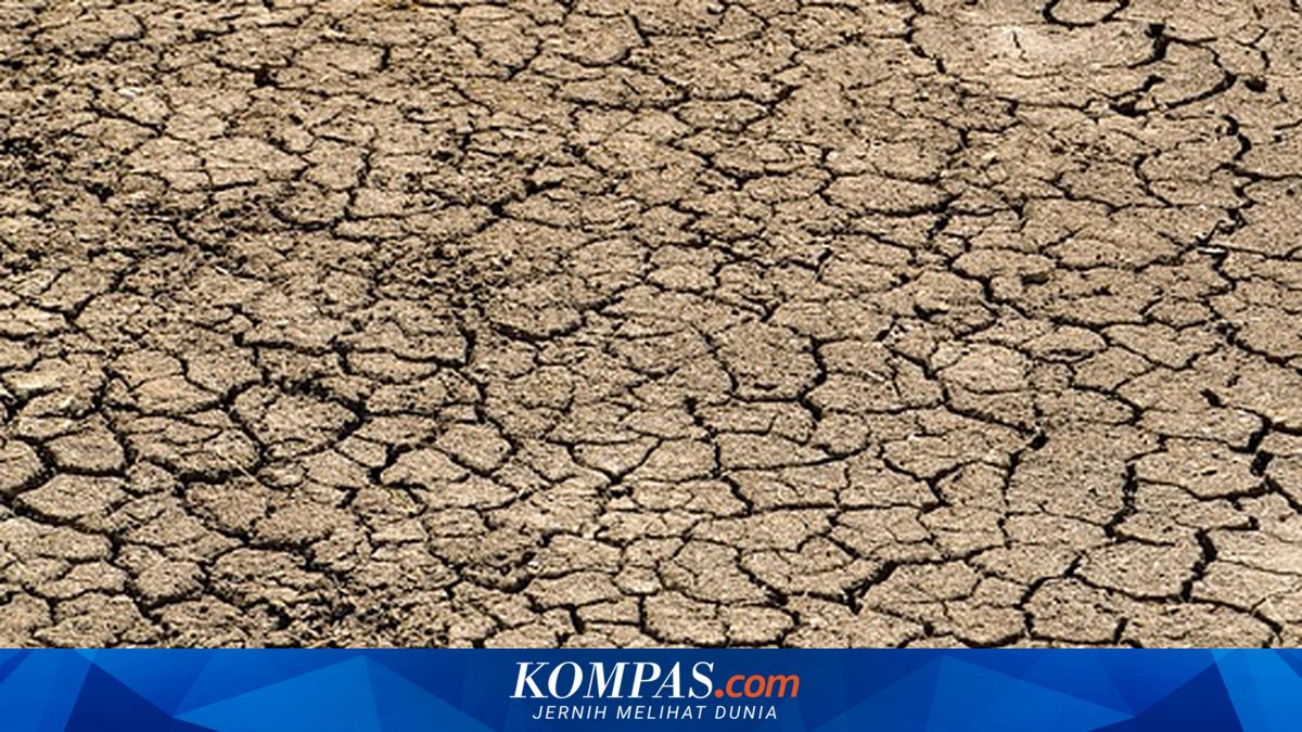 El Nino Aktif Juni 2026, Ini Puncak Kemarau Jawa Tengah yang Paling Kering