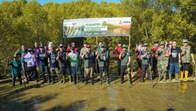 Reuni IKA Smada Makassar Berubah Jadi Aksi Sosial, 4.000 Mangrove Hingga Sunatan Massal