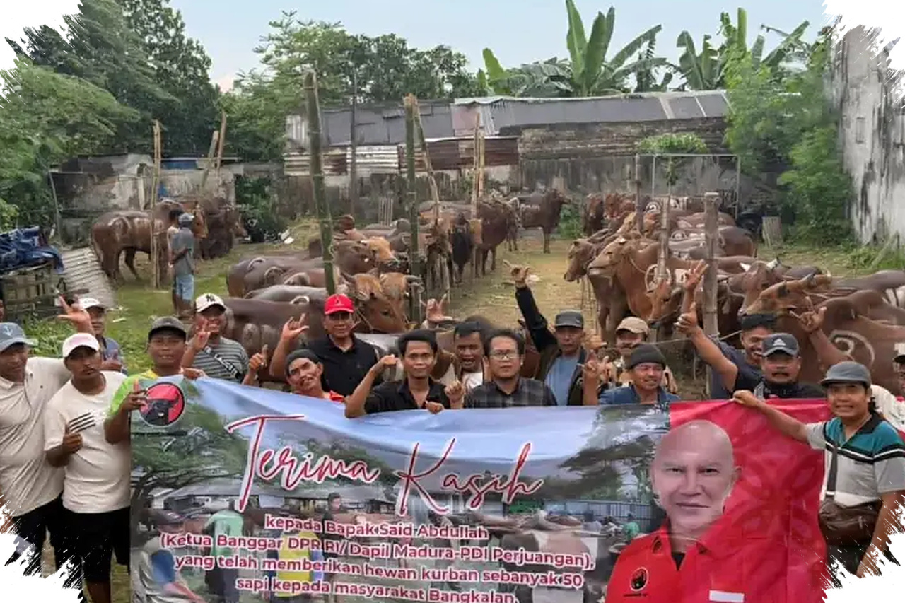 468 Sapi Kurban PDIP Jatim Mengalir Ke Pesantren, Masjid, Dan Kampung Warga