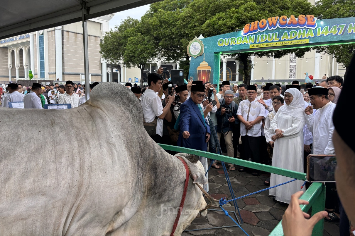 Stok Kurban Jatim Aman, Khofifah Sebut Penjualan Naik Signifikan Jelang Iduladha 2026