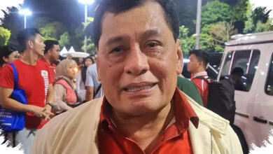 Danantara DSI Tak Tambah Birokrasi, DPR Minta Desain Ramping Agar Ekspor Tak Tersendat