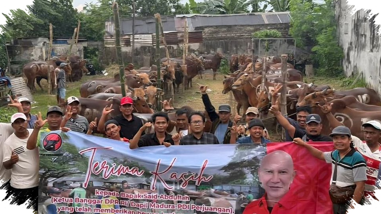 PDI-P Jatim Bagikan 485 Sapi Kurban, Ironi Daging Mahal di Provinsi Penghasil Sapi