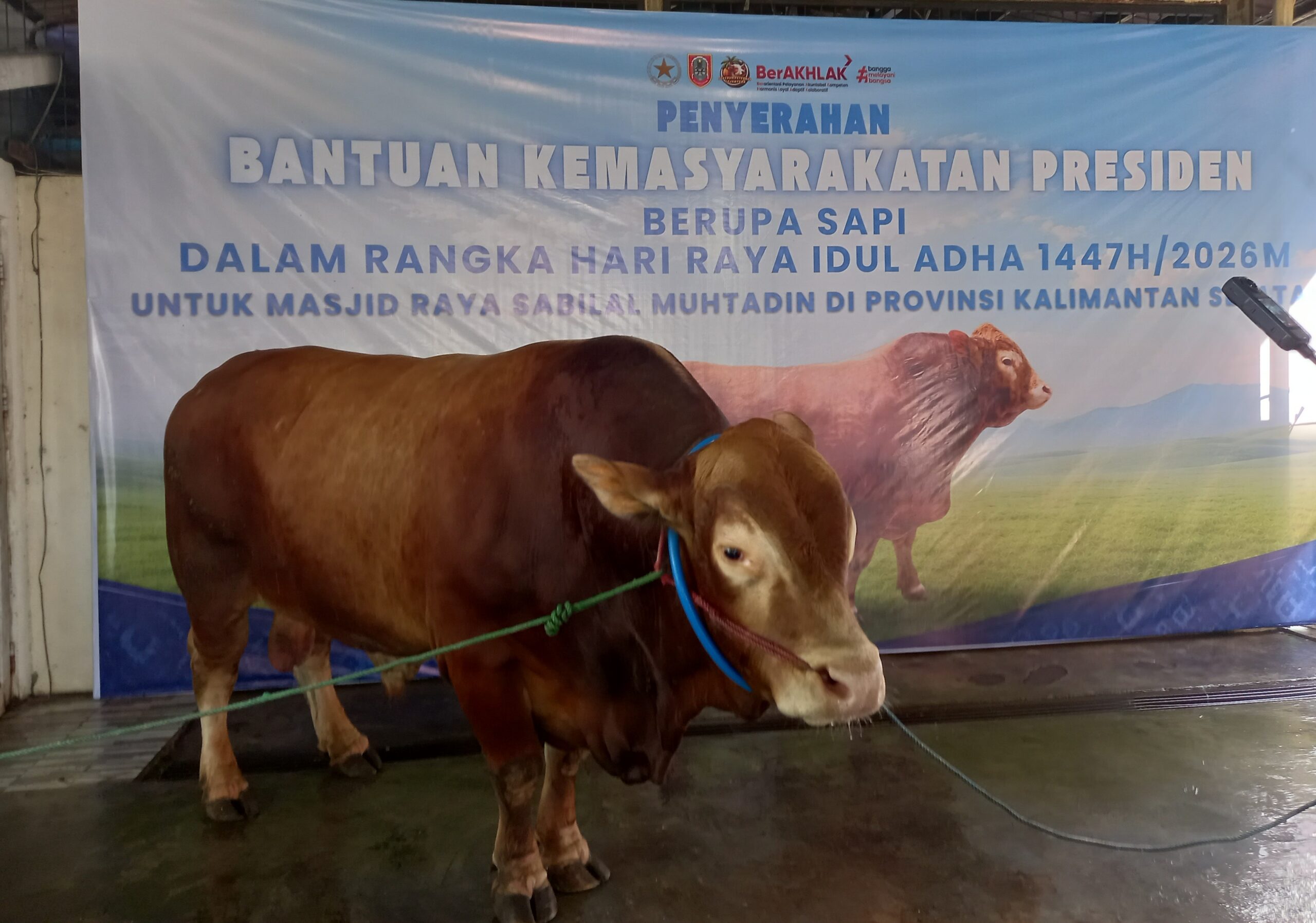 Kalsel Siapkan 23 Ribu Ekor Qurban, Pengawasan Ketat Demi Daging Aman