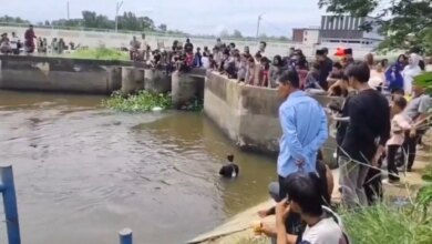 Tergelincir Saat Cuci Jeroan Sapi, Panitia Kurban di Palembang Tewas Tenggelam di Anak Sungai Musi