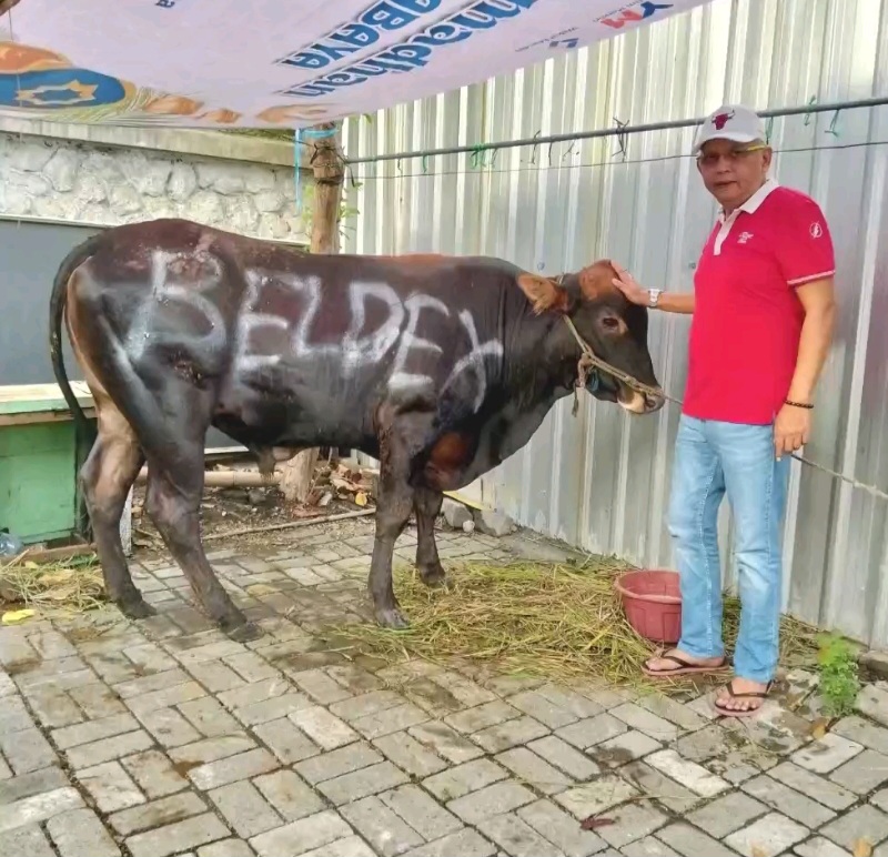 Didik Beldex Salurkan Satu Sapi Kurban, Pesan Gotong Royong untuk Warga Surabaya