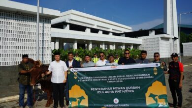 34 Ekor Sapi Kurban Dikirim ke Jakarta, Langkah Sosial Perseroda DKI yang Menjangkau Warga