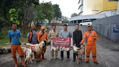 The Park Pejaten Bagikan 10 Kambing Kurban, Perhatian yang Menyentuh Warga dan Karyawan