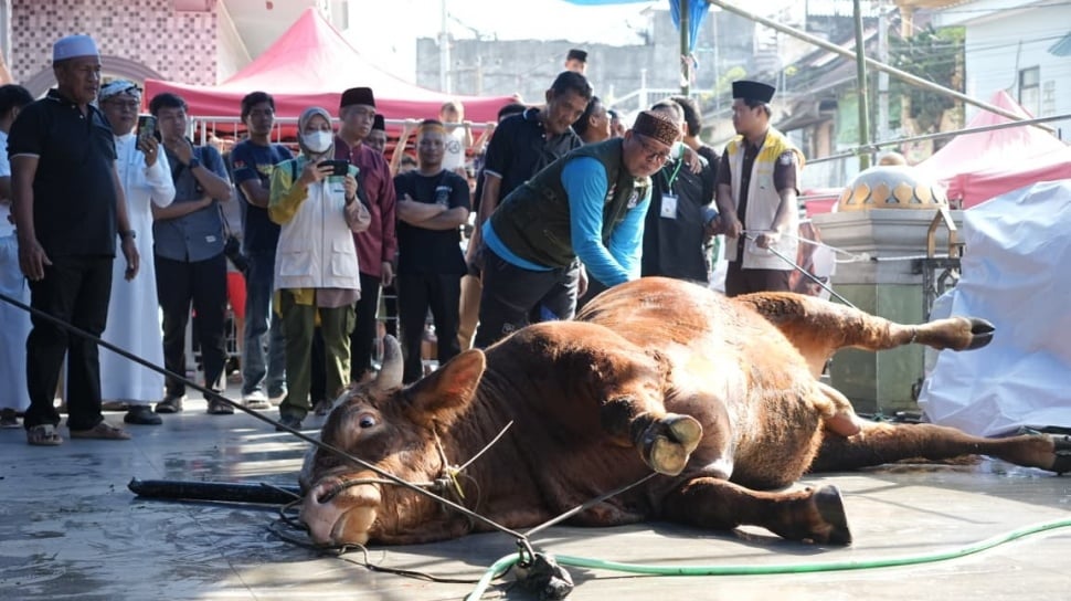 Kurban Dari APBN Tak Menggugurkan Kewajiban Pribadi Pejabat, TGB Tegaskan Batasnya