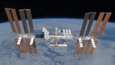 5 Benda Absurd yang Pernah Dibawa NASA ke Luar Angkasa, Nomor 1 Bikin Kaget