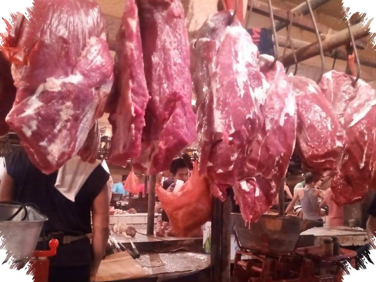 Daging Kurban Aman Hingga Masuk Panci, Batas Suhu Simpan Ini Sering Terlewat
