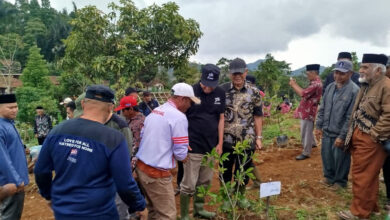 24 Ribu Pohon Kopi Ditanam Di Jabar, JAI Dorong Hijau Dan Ekonomi Warga