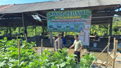 Polres Blitar Turun Ke Lahan, Pekarangan Rumah Disulap Jadi Penopang Pangan Keluarga
