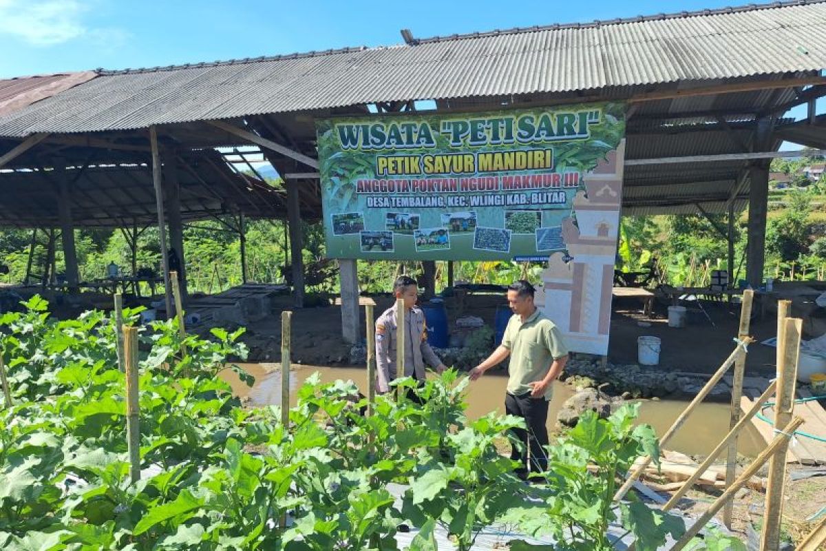 Polres Blitar Turun Ke Lahan, Pekarangan Rumah Disulap Jadi Penopang Pangan Keluarga