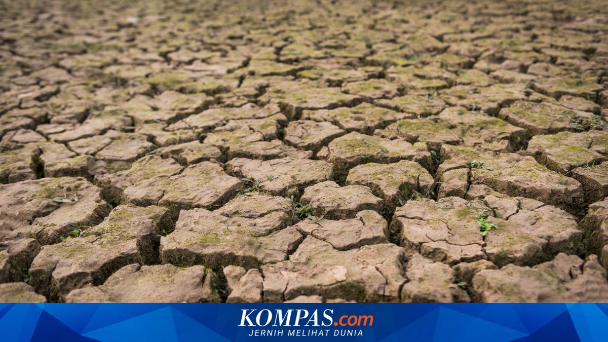 11 Wilayah Jateng Masuk Kemarau Awal Juni 2026, Dari Purbalingga Hingga Kebumen Jadi Siaga