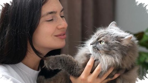 Memelihara Kucing Bukan Cuma Menggemaskan, Efeknya Nyata untuk Stres dan Tekanan Darah