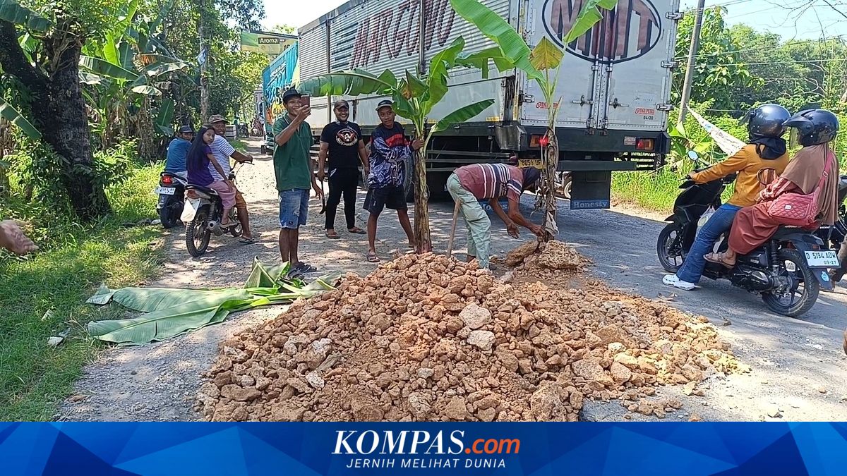 Warga Tanam Pisang di Jalan Rusak Blora, Pemprov Jateng Siapkan Rp 5,2 Miliar untuk Perbaikan