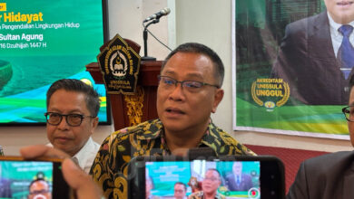 KLH Siapkan 200 Hektare Mangrove di Jateng, Tameng Baru Pantura Lawan Abrasi